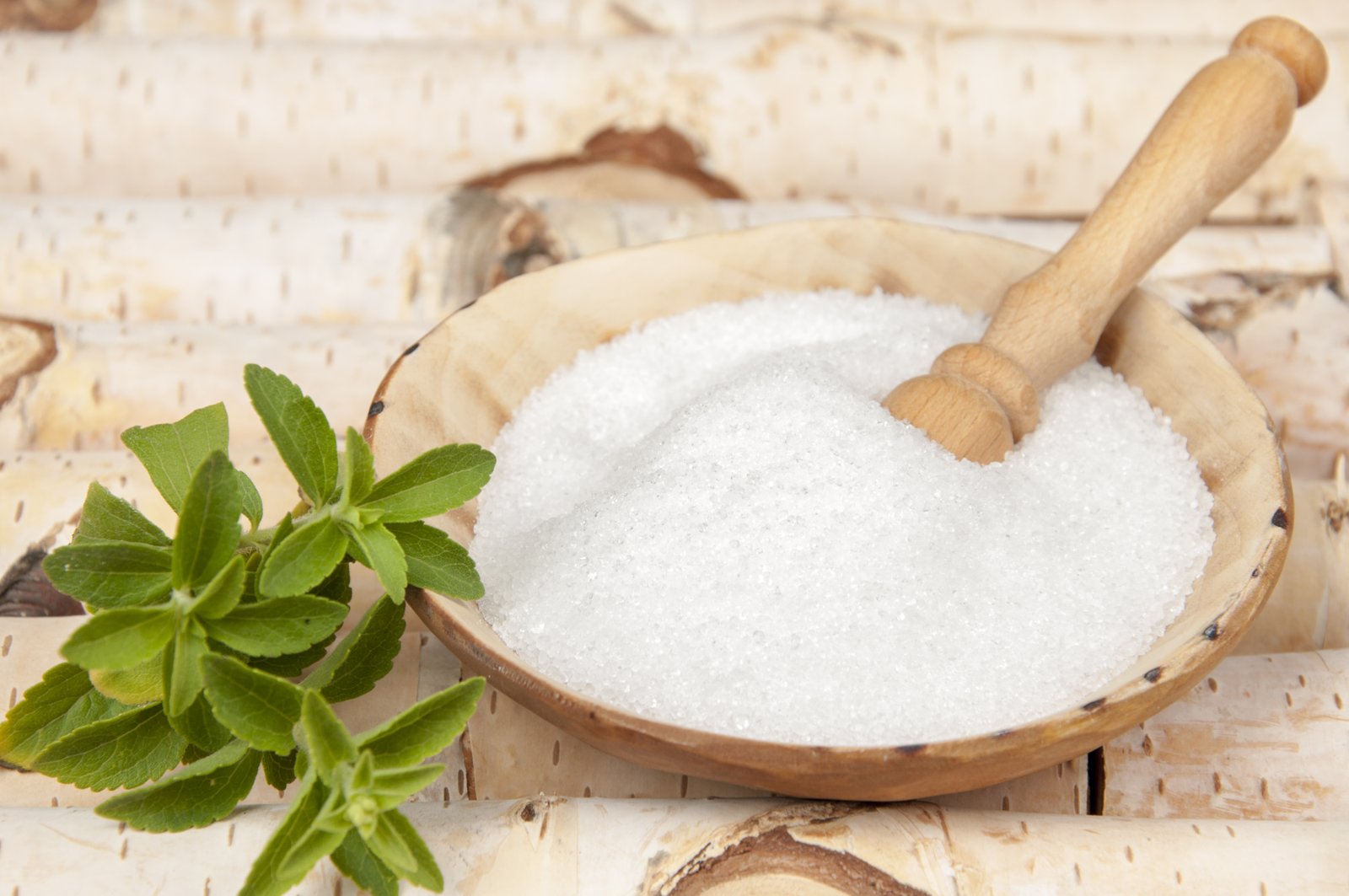 Evonik launches Isomalt to promote low-calorie sugar substitute in Asia