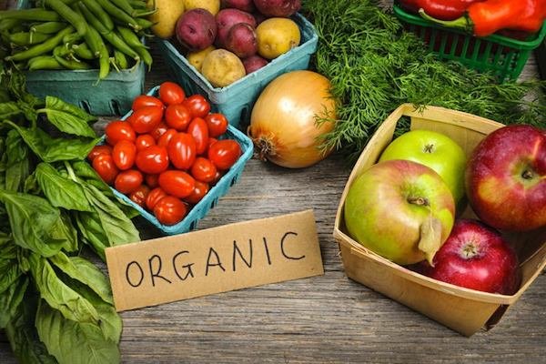 cse-disapproves-fssais-move-for-organic-food-certification