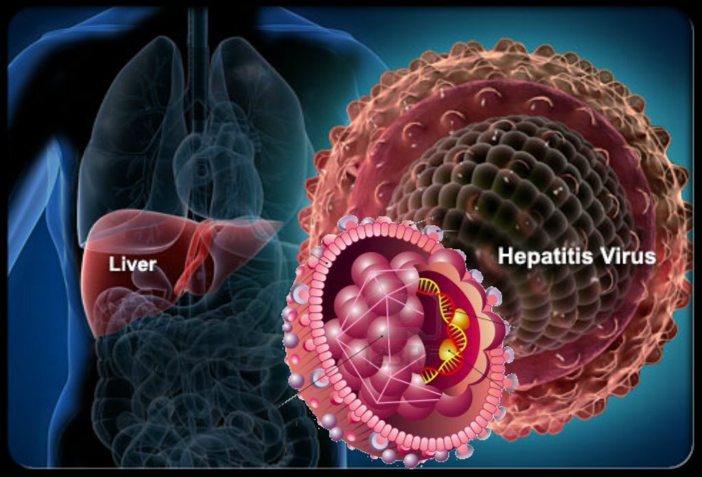 hepatitis-a-e-a-leading-cause-of-death