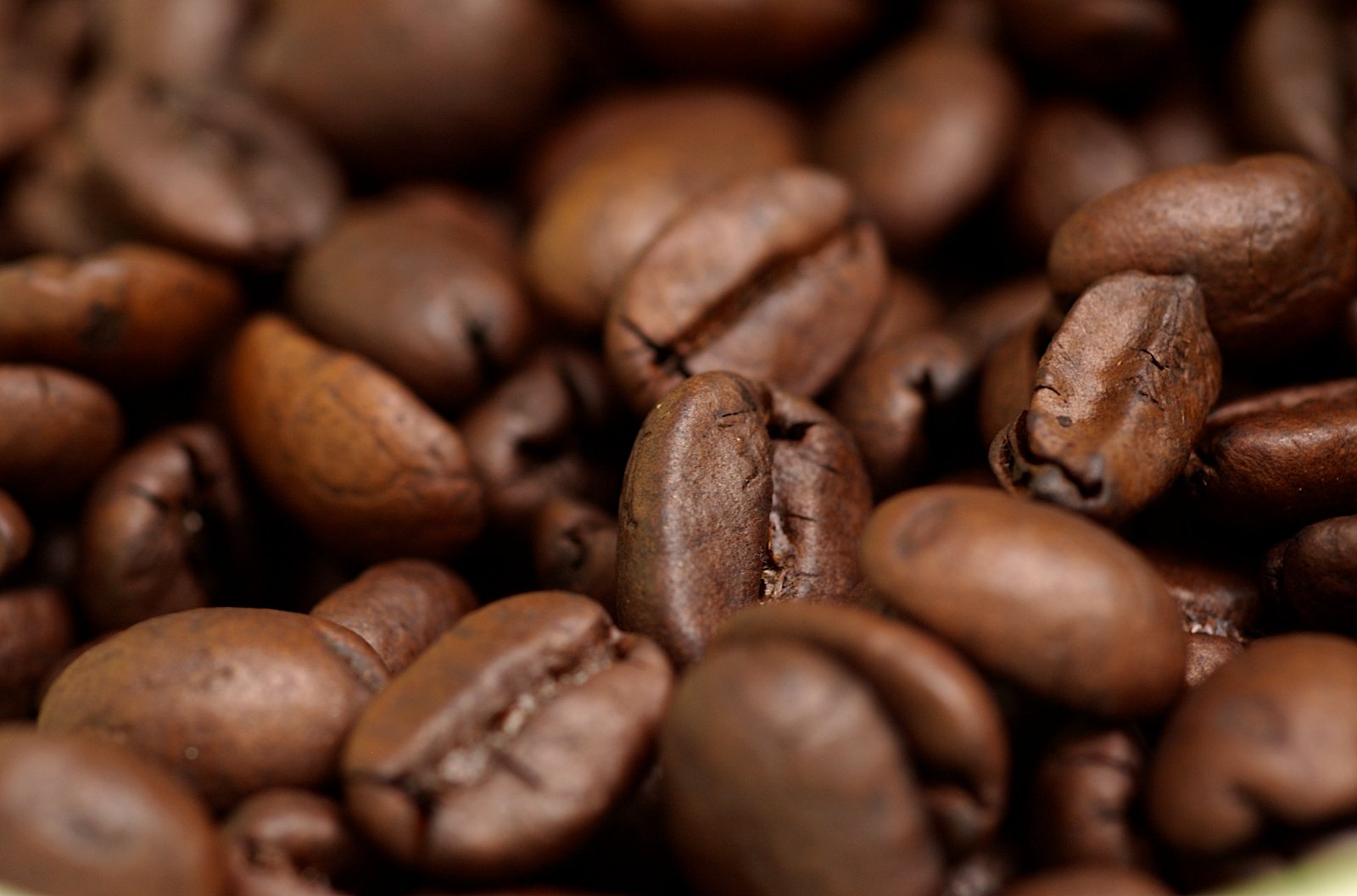 The World’s most expensive coffee now produced in India