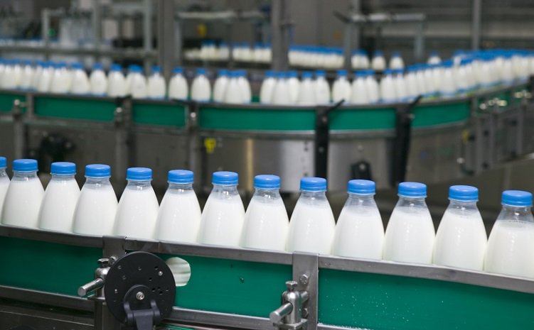 manmul-plans-investment-in-automated-mega-dairy-set-up