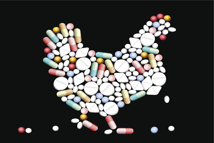 stop-using-antibiotics-on-healthy-farm-animals-who