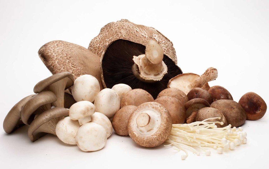 study-highlights-anti-aging-benefits-of-mushrooms