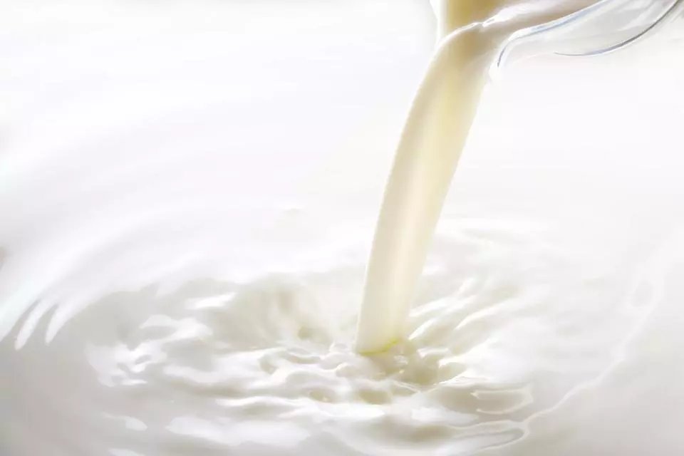 NDDB promotes booster milk for children