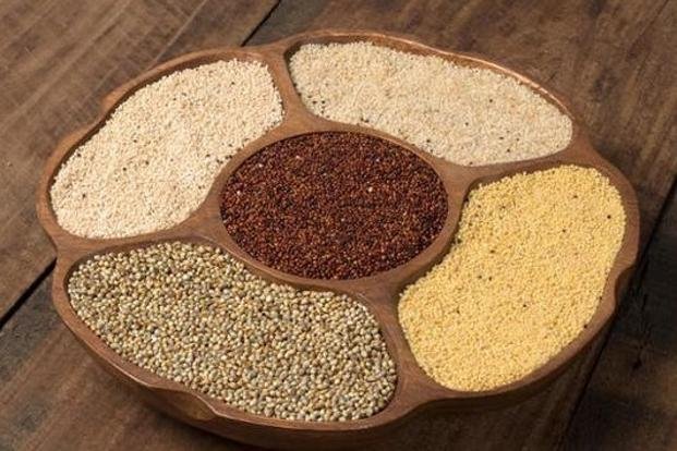 radha-mohan-singh-asks-un-to-declare-the-year-2018-as-international-year-of-millets