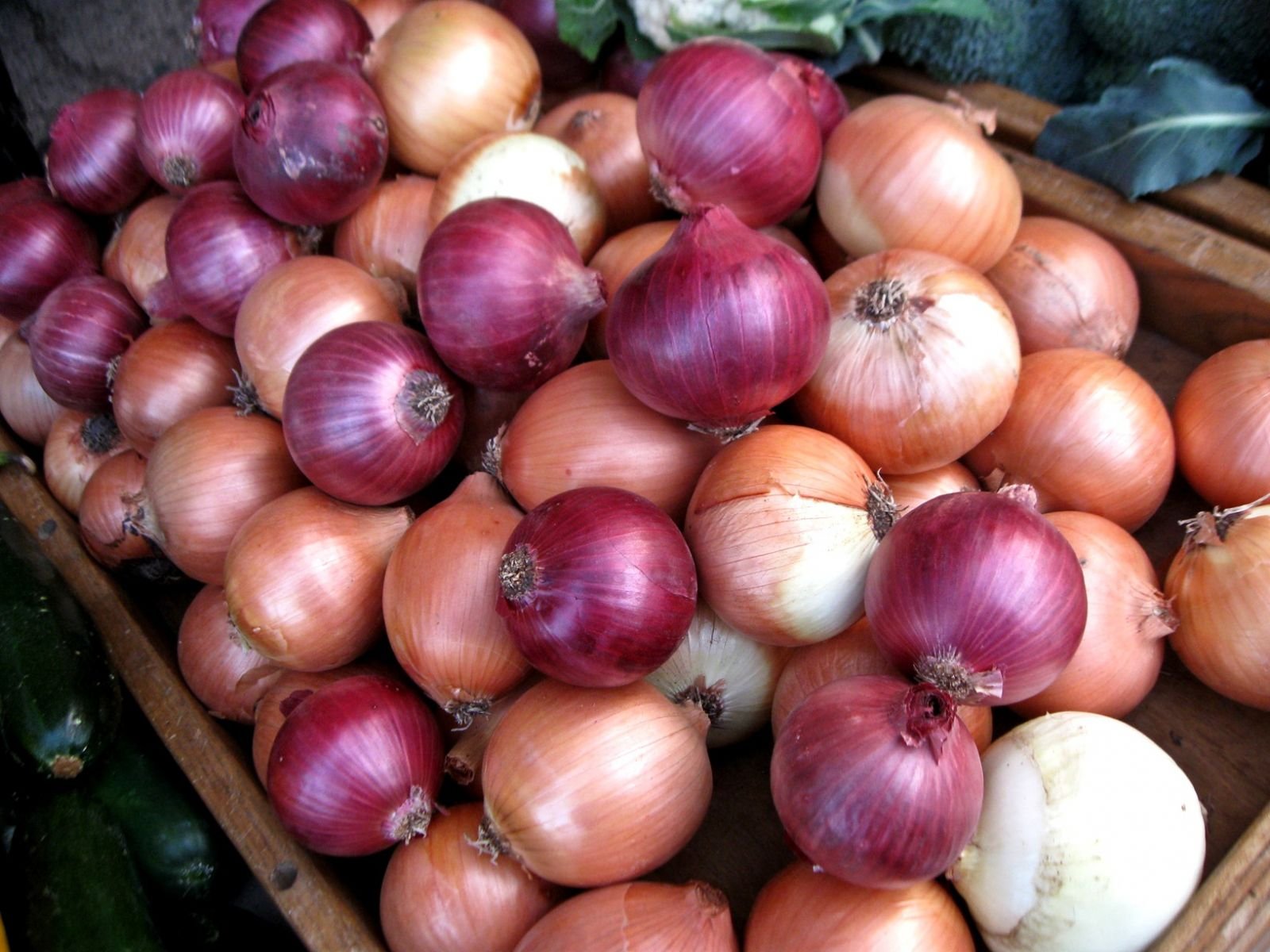 govt-imposes-minimum-export-price-on-onions