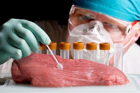 new-technique-can-detect-impurities-in-ground-beef-within-minutes-research
