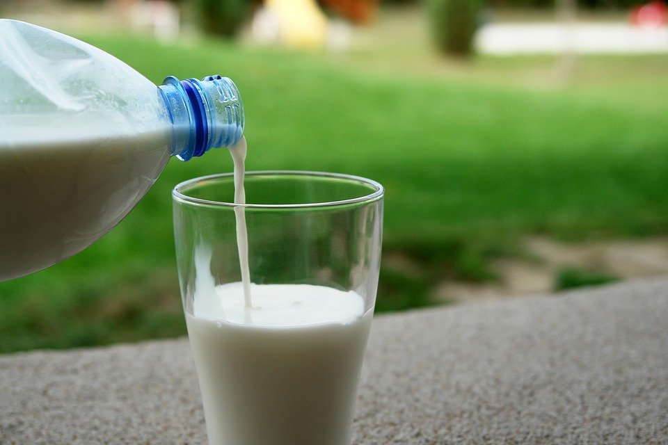 nestl-to-invest-3m-in-dairy-industry