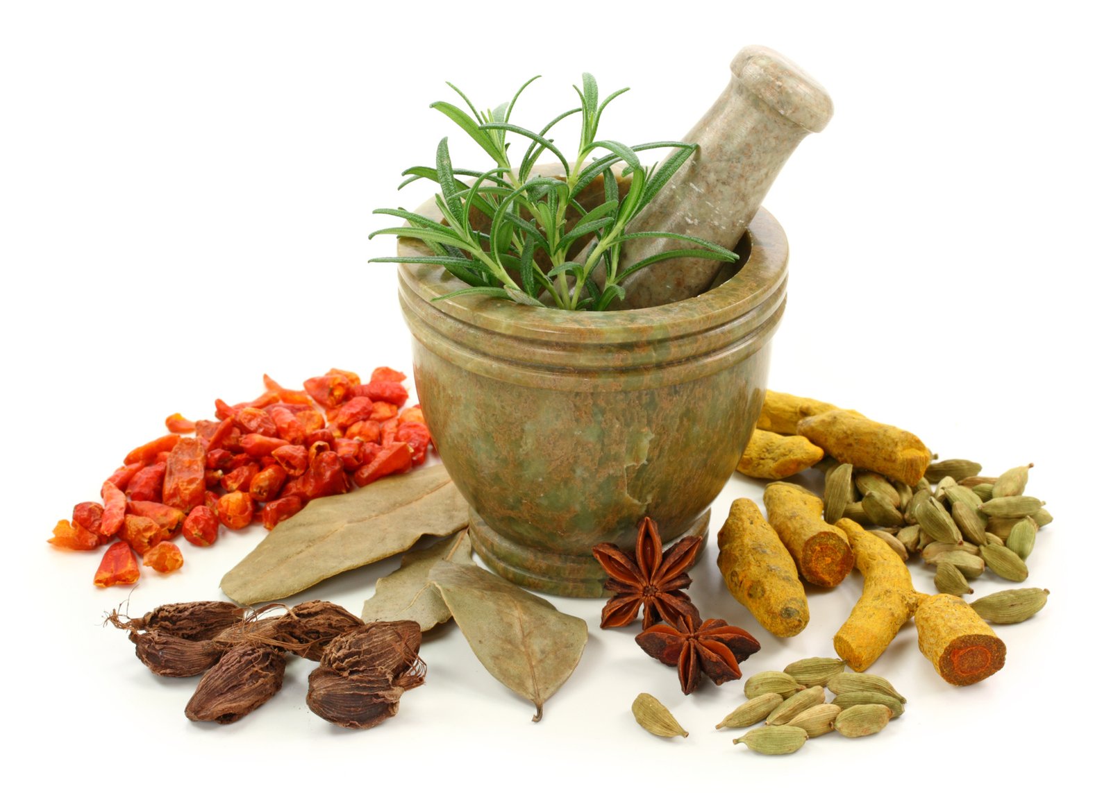 Patanjali University collaborates with AIIMS for Ayurveda research