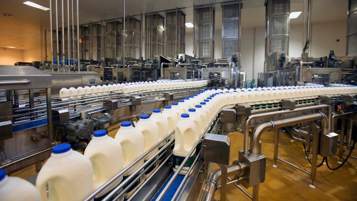 NABARD to support dairy sector with 8K Cr fund