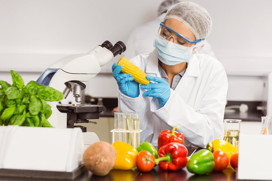 Scientists reveal that fibre in food helps lose weight