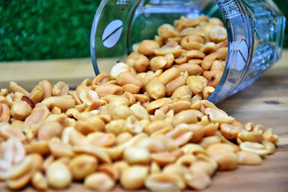 scientists-develop-first-ever-oleic-rich-peanuts