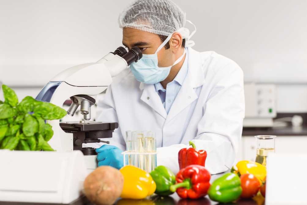scientists-in-us-develop-tool-to-detect-food-contamination