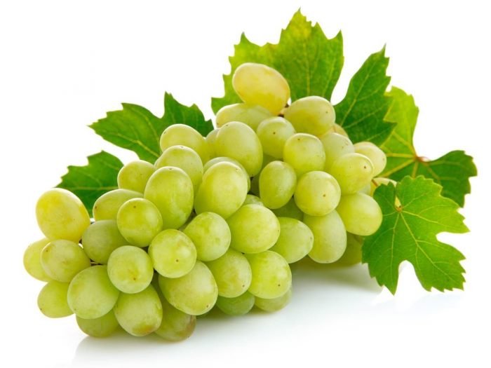 researchers-highlight-therapeutic-properties-of-grapes