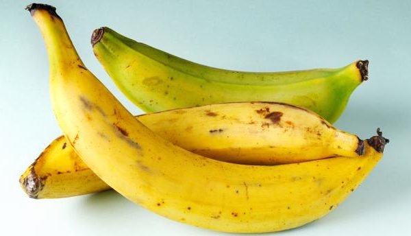 apeda-icar-nrcb-ink-mou-for-nendran-banana-export