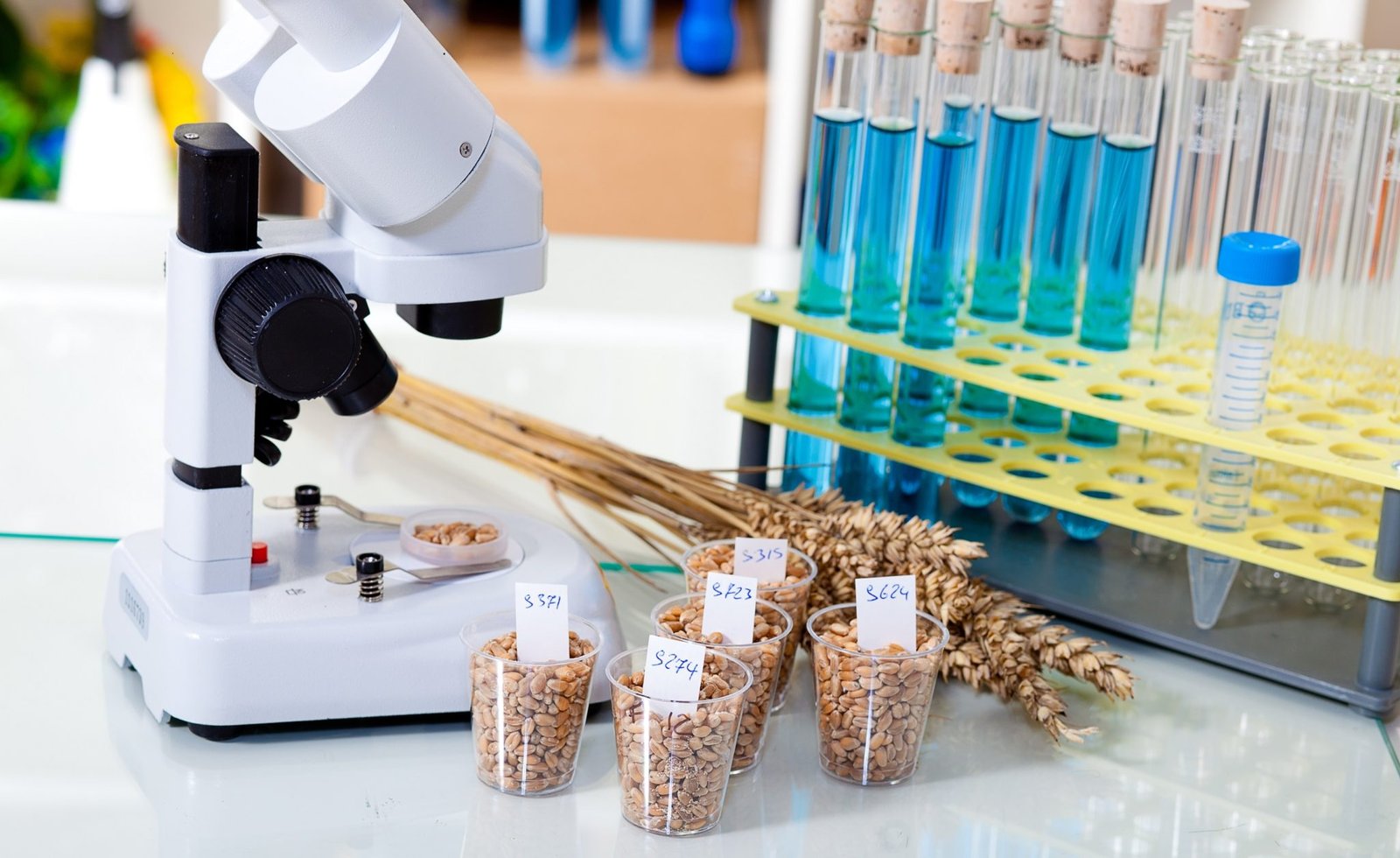 Linde sets up food laboratory in AP