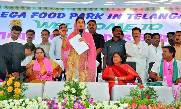food-park-projects-to-be-functional-by-2020