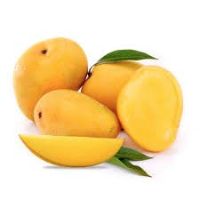 bengal-govt-plans-to-trade-mangoes-to-europe