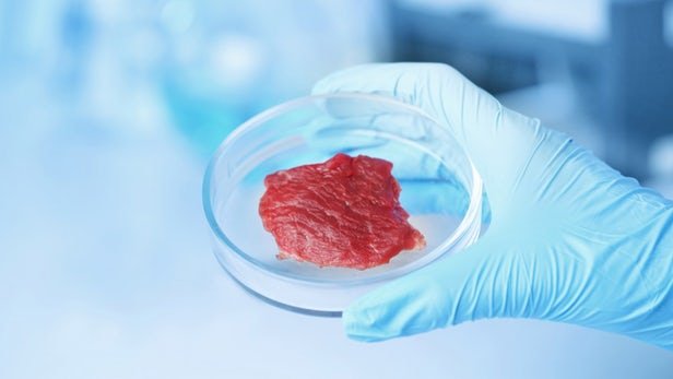 ccmb-teams-up-with-hsi-for-lab-grown-meat
