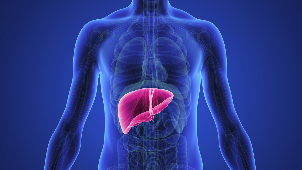 Different ways to protect liver in Ayurveda