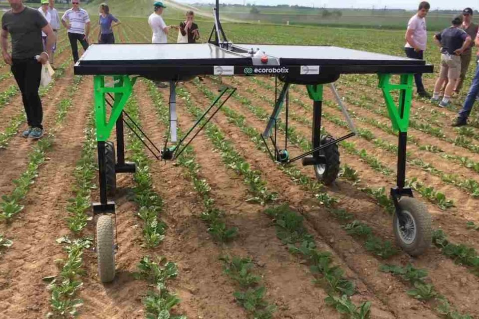 ai-powered-robots-use-precision-spraying-to-target-and-fight-weeds