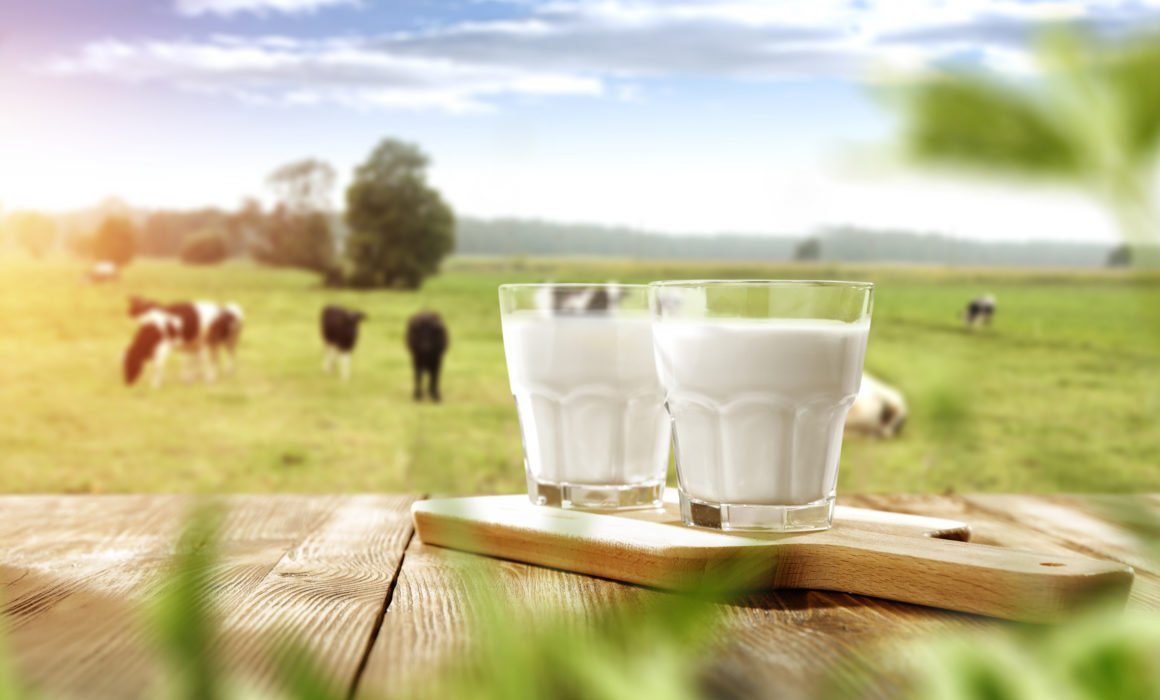 china-russia-jointly-promote-dairy-industry-development