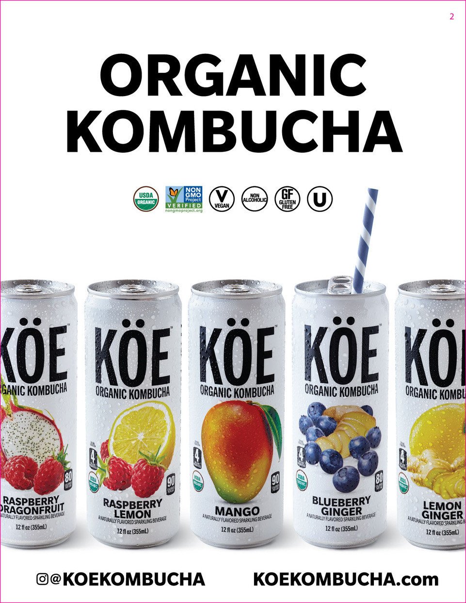 stratus-group-beverage-revolutionizes-kombucha