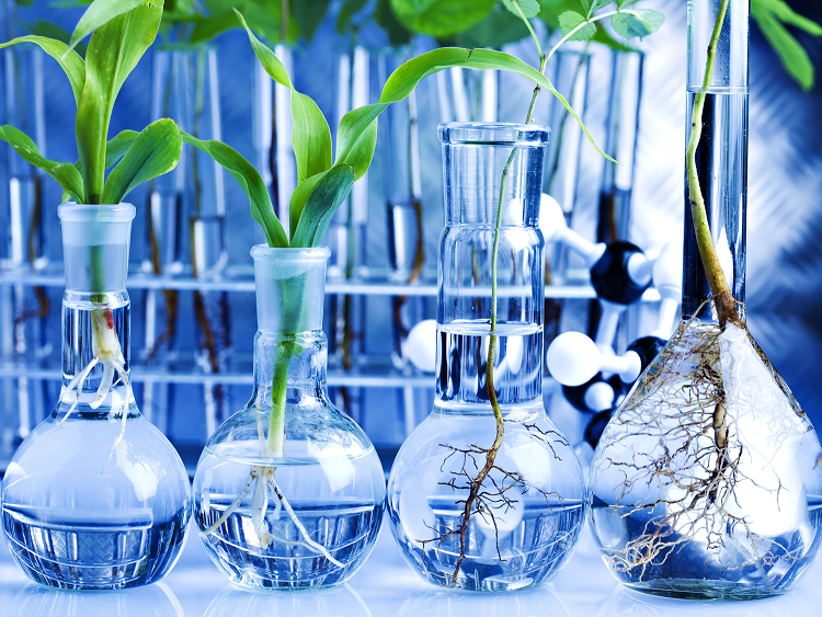 agri-biotech-firms-develop-an-alliance