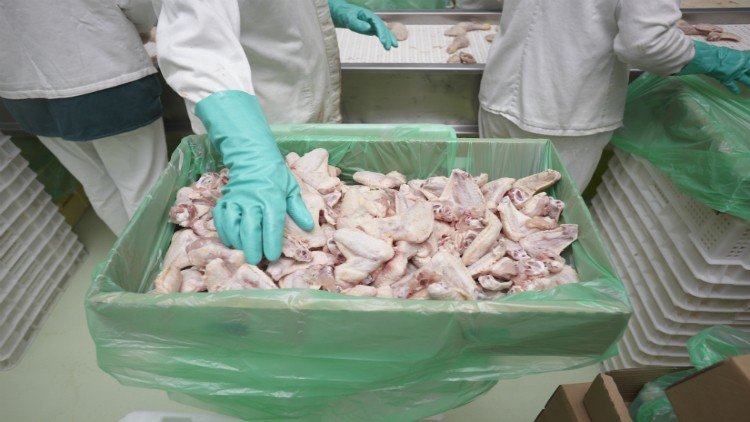 cargill-enters-polish-poultry-market