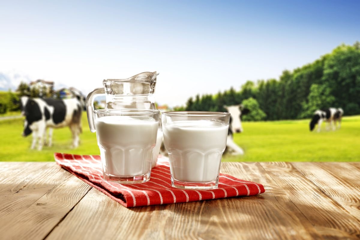 RUJ Group to enter dairy business