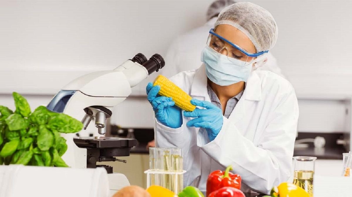 IMCD opens new food application laboratory in Germany