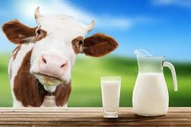 Himachal Pradesh procures two milk Projects under NDDB
