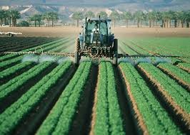 rising-carbon-dioxide-levels-likely-to-boost-crop-yields