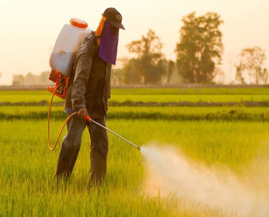 Increasing demand for food Items to drive the global agrochemicals market