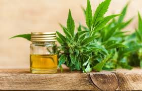 Ecogen Labs to secure the largest genetics deal in CBD industry
