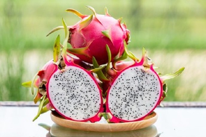 apeda-exports-first-consignment-of-dragon-fruit-to-london-uk-bahrain