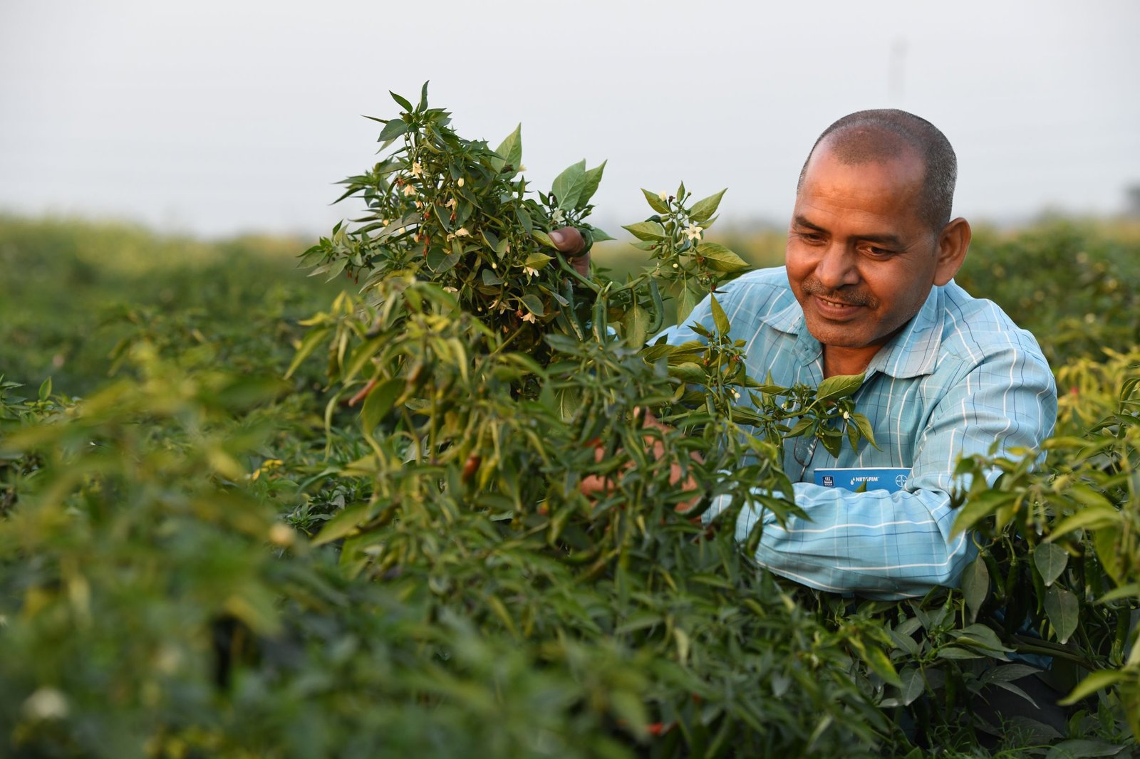 better-life-farming-alliance-launches-new-agri-entrepreneurship-model