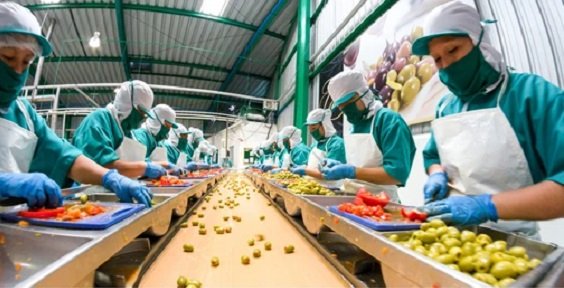 digitization-becomes-potent-sales-vehicle-for-food-industry