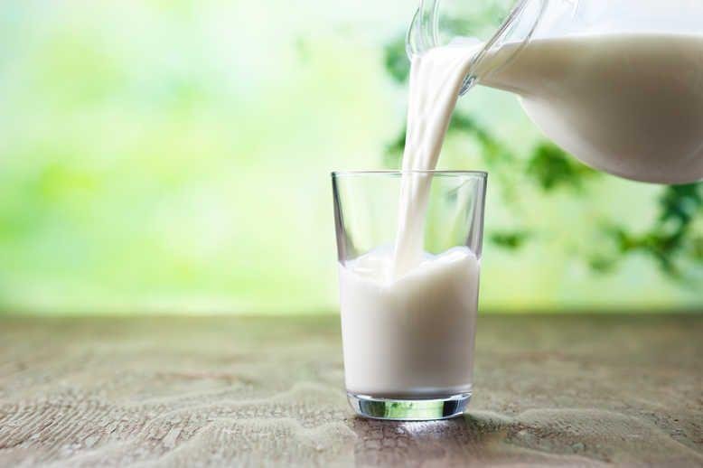government-sets-up-dairy-investment-accelerator