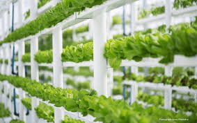 gp-solutions-acquires-instant-garden-from-mobile-farming-systems