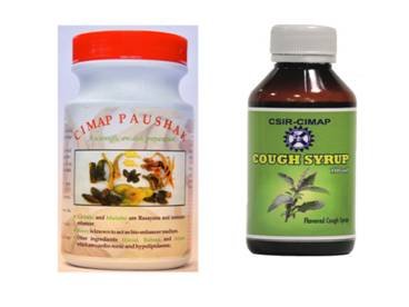 cimap-develops-herbal-products-to-boost-immunity