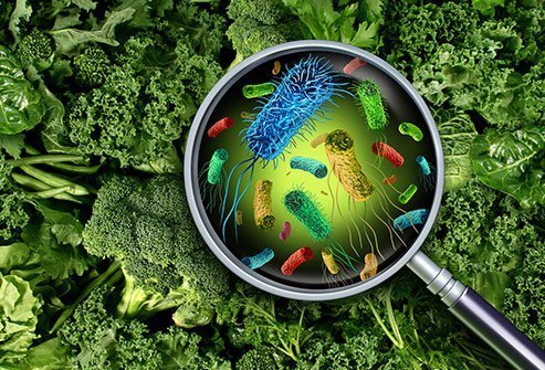 antibiotics-and-resistant-bacteria-in-food-chain