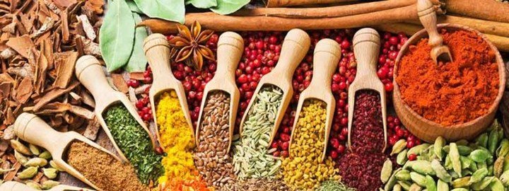 Darling Ingredients reports second quarter 2019 financial results