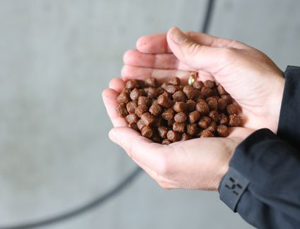 cargill-innovafeed-to-bring-innovative-feed-to-animal-producers
