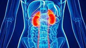 best-six-food-items-to-manage-chronic-kidney-disease