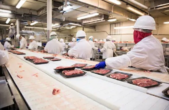 report-indicates-steep-decline-in-covid-19-cases-among-meat-poultry-workers-in-the-us