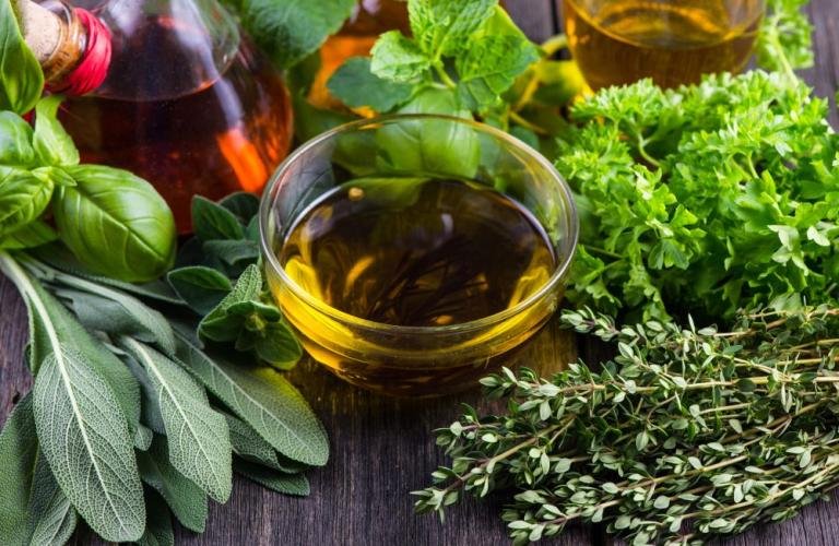 ayush-ministry-inks-mou-to-promote-medicinal-plants