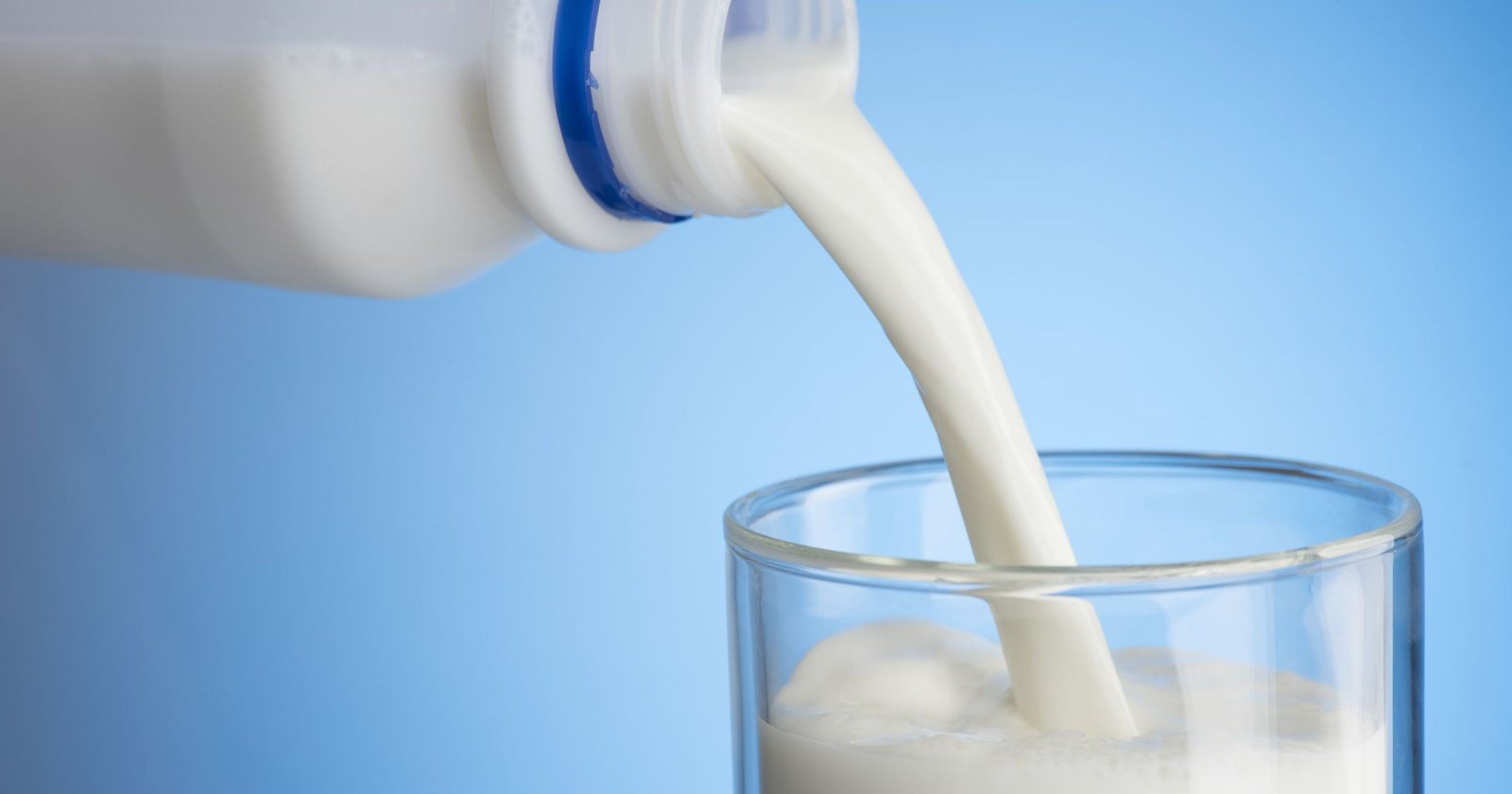 nine-startups-compete-for-250000-in-milk-accelerator-competition