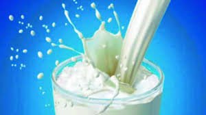 Horizon brings first-ever organic protein milk in market