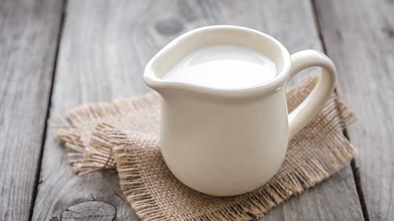 study-suggests-mealworm-protein-as-beneficial-as-milk-protein